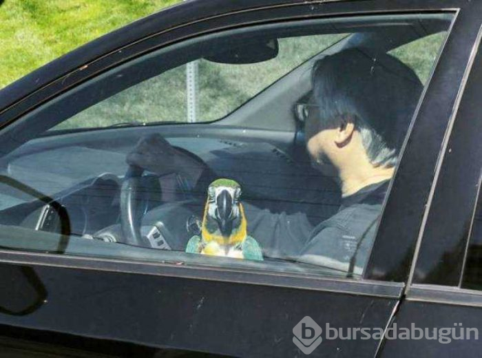 Günün en çok paylaşılan fotoğrafları (09.08.2019)