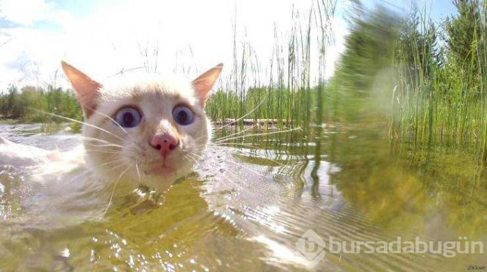 Günün en çok paylaşılan fotoğrafları (09.08.2019)