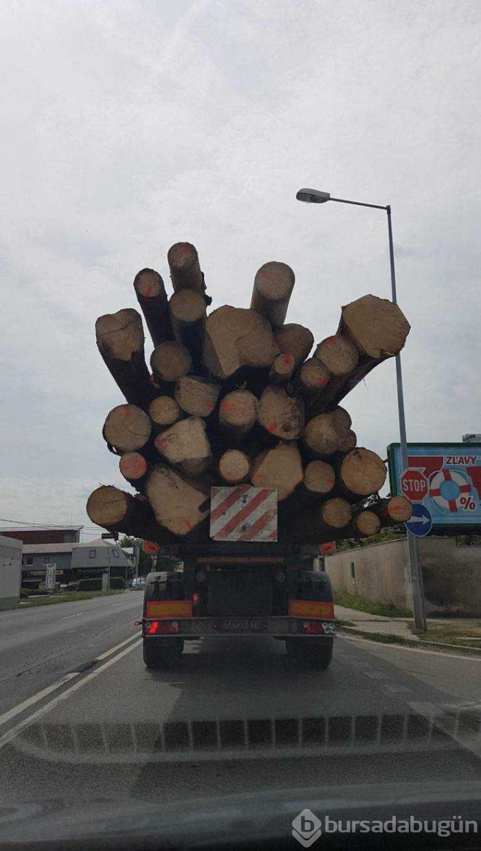 Günün en çok paylaşılan fotoğrafları (09.08.2019)