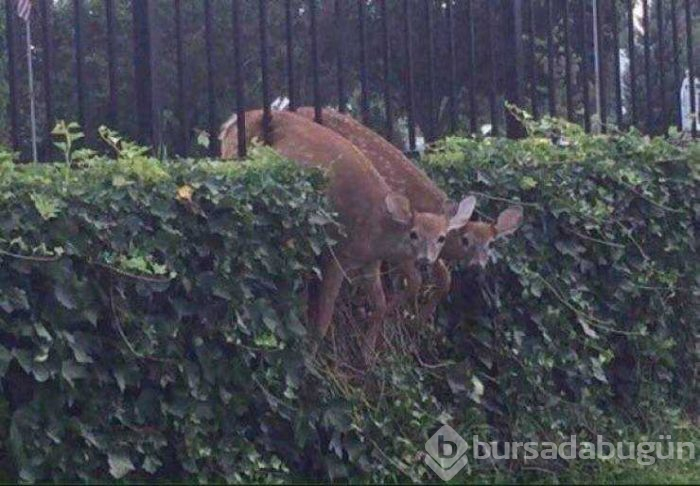 Günün en çok paylaşılan fotoğrafları (09.08.2019)