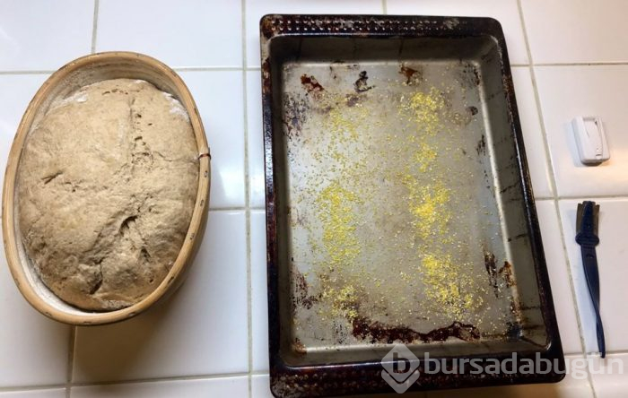 Seamus Blackley 4 bin 500 yıllık maya ile ekmek yaptı