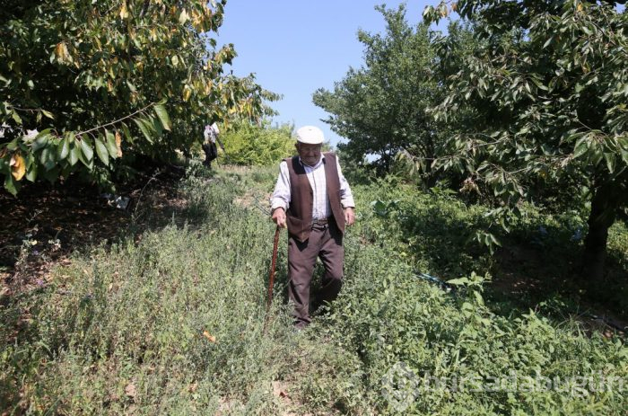 Bu devirde kim bunu yapar? Bursa'da 84 yaşındaki dede: Dua etsinler yeter
