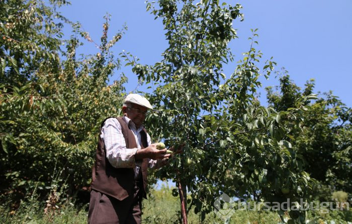 Bu devirde kim bunu yapar? Bursa'da 84 yaşındaki dede: Dua etsinler yeter
