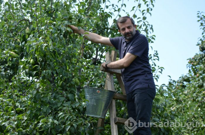 Türkiye'nin yüzde 60'ı Bursa'da üretiliyor! Fiyatıyla yüzleri güldürdü

