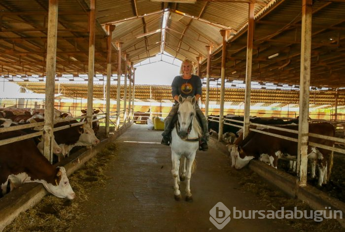 Hostesliği bırakıp hayvan çiftliği kurdu!
