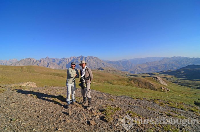 Objektiflere böyle yansıdılar! İşte nadir görülen kelebekler...
