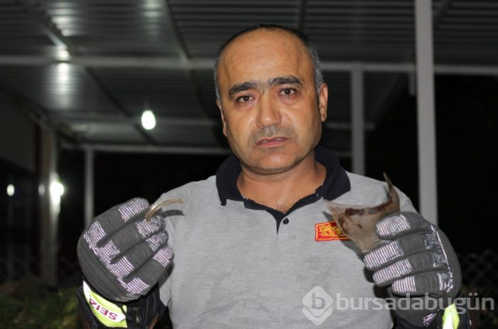 Günlerdir boynundaki kavanozla yaşayan kedi sonunda kurtarıldı
