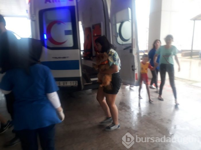 Bursa'da yağmurda 4 araç birbirine girdi: 18 yaralı	