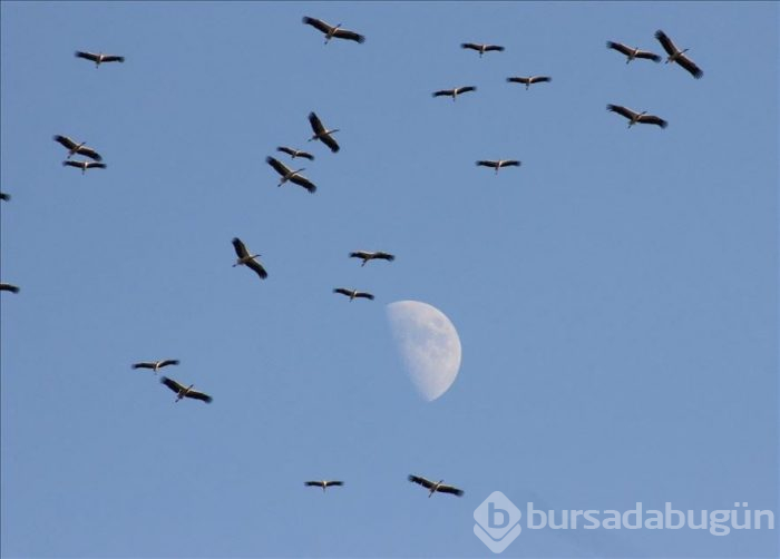 Haftaya damga vuran kareler...
