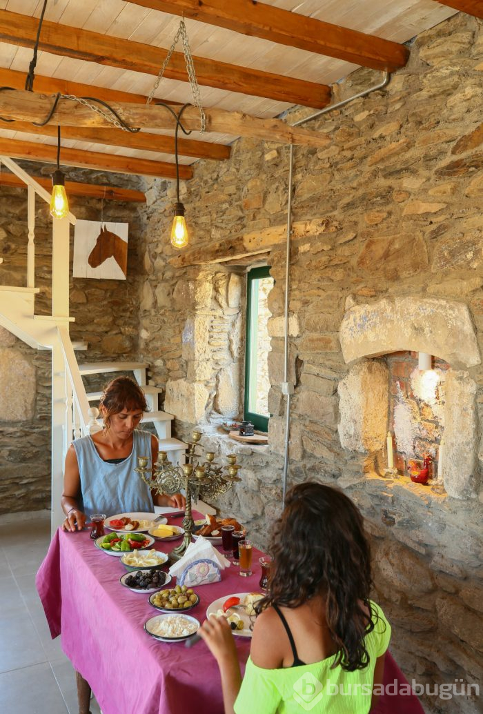 Kalabalık sahillerden hoşlanmıyor musunuz? İşte size huzur...
