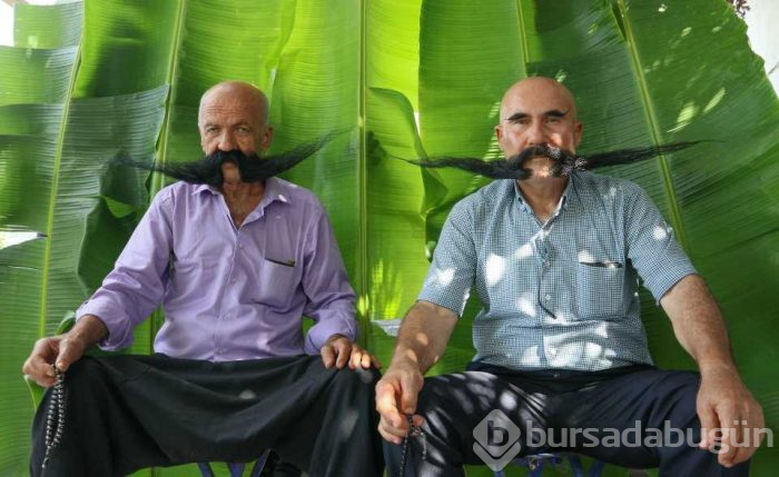 Bıyıklarına 20 yıldır gözü gibi bakıyorlar
