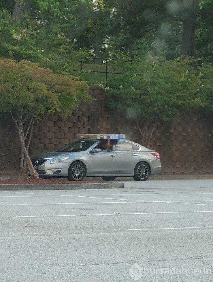 Günün en çok paylaşılan fotoğrafları (19.08.2019)