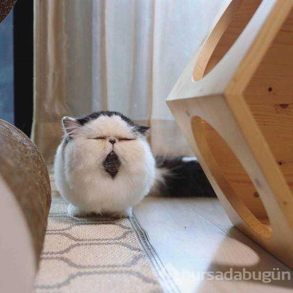 Günün en çok paylaşılan fotoğrafları (19.08.2019)