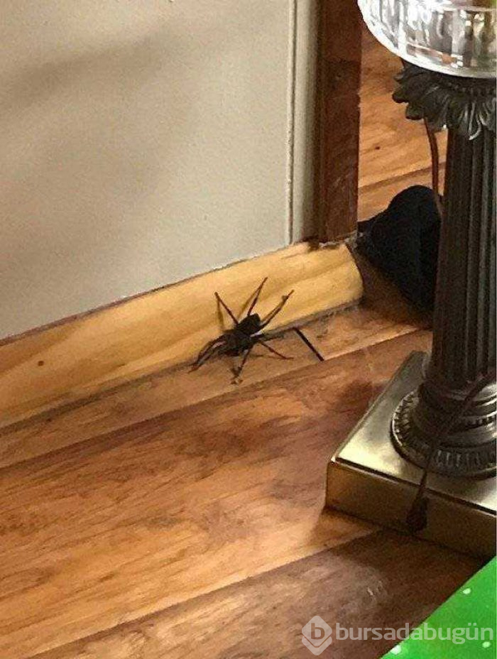 Günün en çok paylaşılan fotoğrafları (19.08.2019)