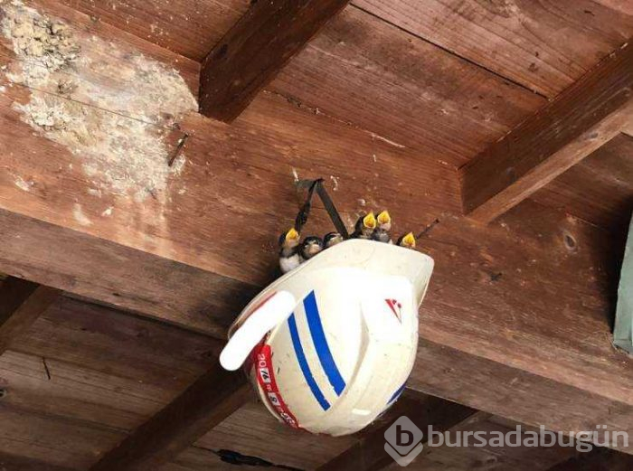 Günün en çok paylaşılan fotoğrafları (19.08.2019)
