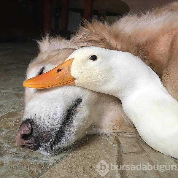 Günün en çok paylaşılan fotoğrafları (19.08.2019)