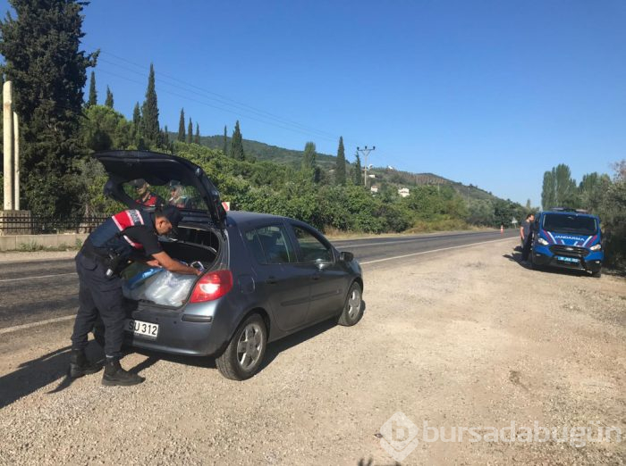 Belediye otobüsleri, terminal... Bursa'da 14 kişi gözaltına alındı!
