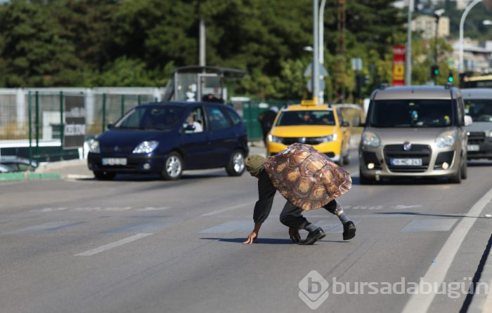 Bursa'da babasını kazada kaybetti, trafiğe böyle çıktı!
