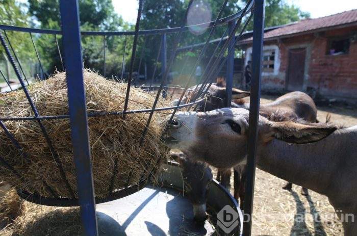 Bursa'ya 81 ilden sipariş yağıyor! Altın kadar kıymetli...
