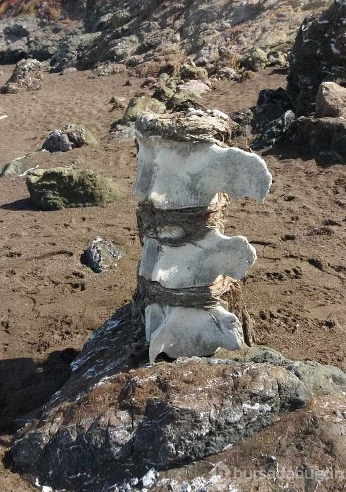 Şimdiye kadar bulunan en ilginç şeyler!
