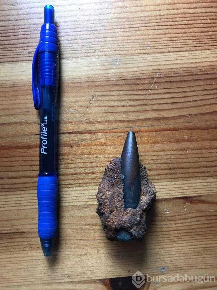 Şimdiye kadar bulunan en ilginç şeyler!
