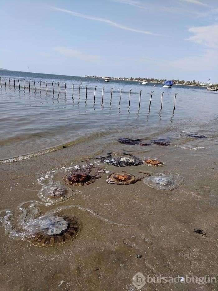 Şimdiye kadar bulunan en ilginç şeyler!

