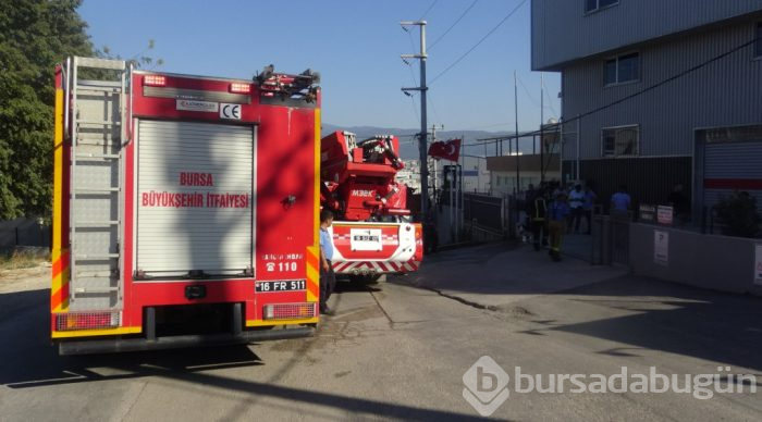 Bursa'da gözleri yaşartan olay! Köpeği için kendini alevlerin arasına attı
