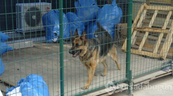 Bursa'da gözleri yaşartan olay! Köpeği için kendini alevlerin arasına attı
