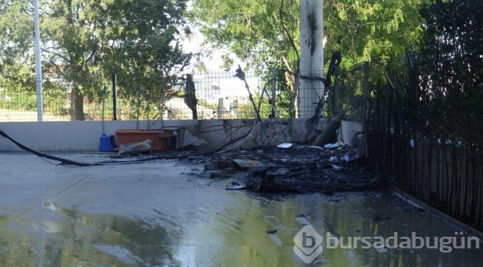 Bursa'da gözleri yaşartan olay! Köpeği için kendini alevlerin arasına attı
