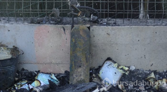 Bursa'da gözleri yaşartan olay! Köpeği için kendini alevlerin arasına attı
