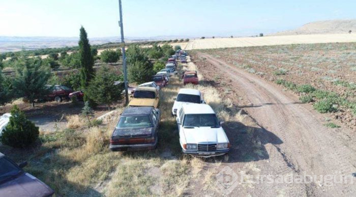 Evinin bahçesinde tam 50 adet var! Görenler şaşırıyor...
