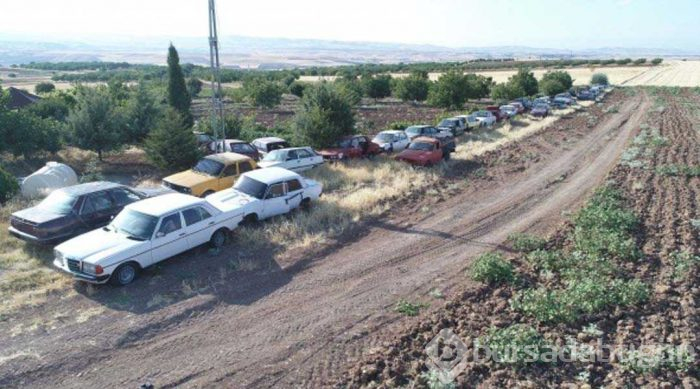 Evinin bahçesinde tam 50 adet var! Görenler şaşırıyor...
