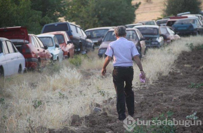 Evinin bahçesinde tam 50 adet var! Görenler şaşırıyor...
