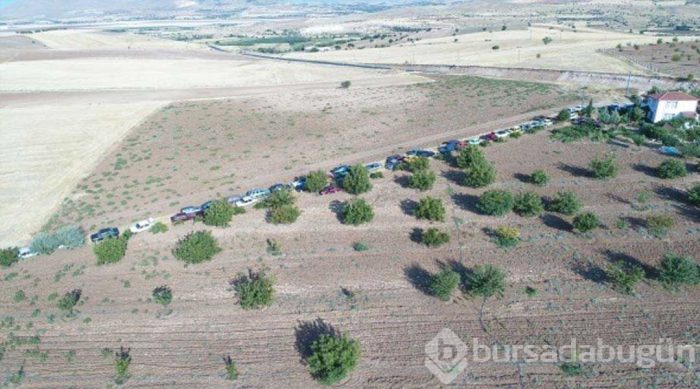 Evinin bahçesinde tam 50 adet var! Görenler şaşırıyor...
