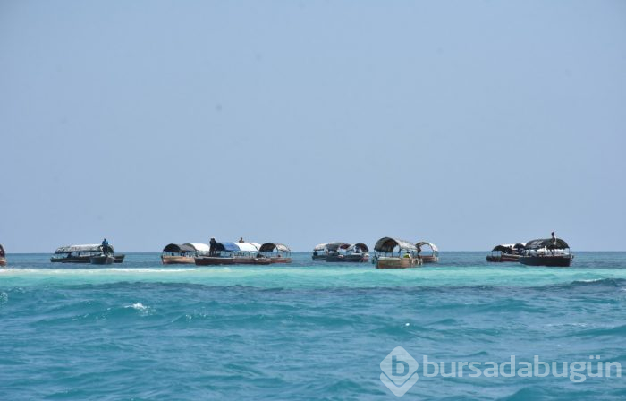 Zanzibar'ın kaplumbağa adası: Changuu
