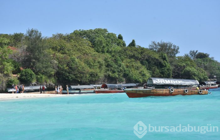 Zanzibar'ın kaplumbağa adası: Changuu

