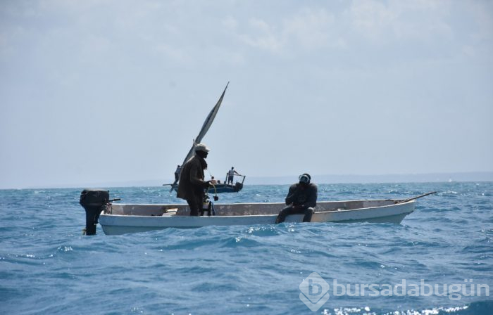 Zanzibar'ın kaplumbağa adası: Changuu
