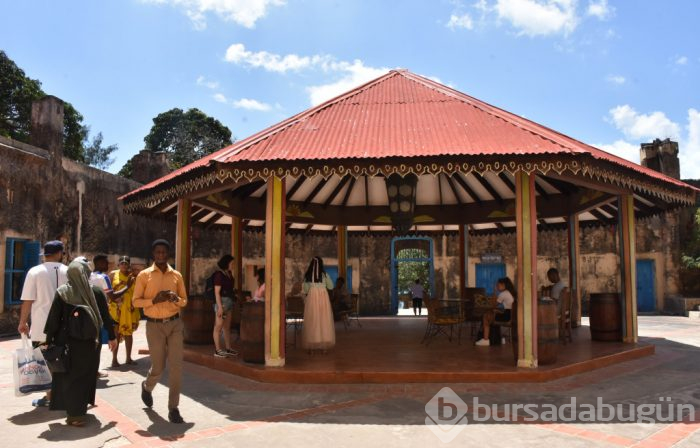 Zanzibar'ın kaplumbağa adası: Changuu
