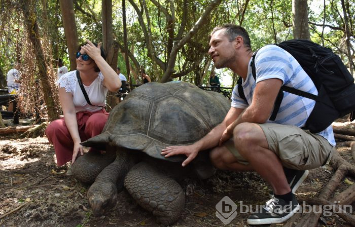 Zanzibar'ın kaplumbağa adası: Changuu
