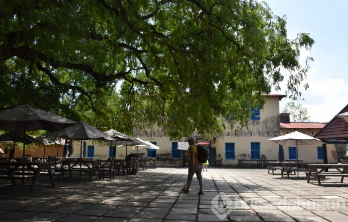 Zanzibar'ın kaplumbağa adası: Changuu
