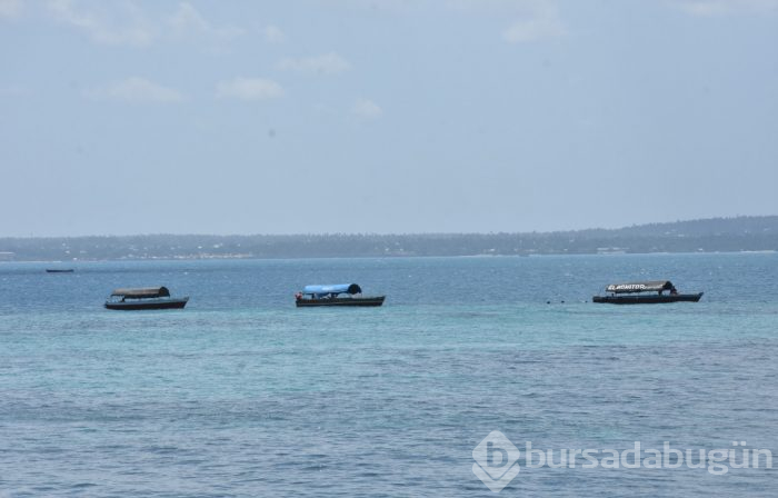 Zanzibar'ın kaplumbağa adası: Changuu
