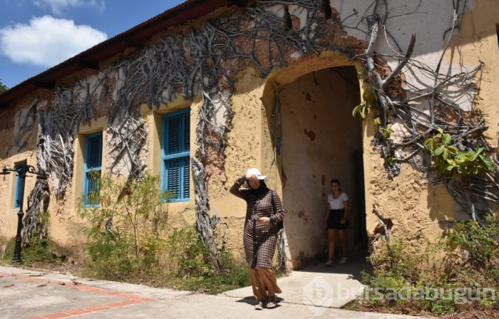 Zanzibar'ın kaplumbağa adası: Changuu
