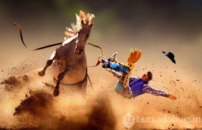Günün en çok paylaşılan fotoğrafları (20.08.2019)