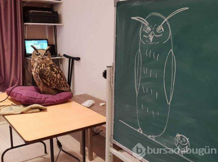Günün en çok paylaşılan fotoğrafları (20.08.2019)