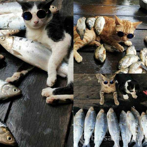 Günün en çok paylaşılan fotoğrafları (20.08.2019)
