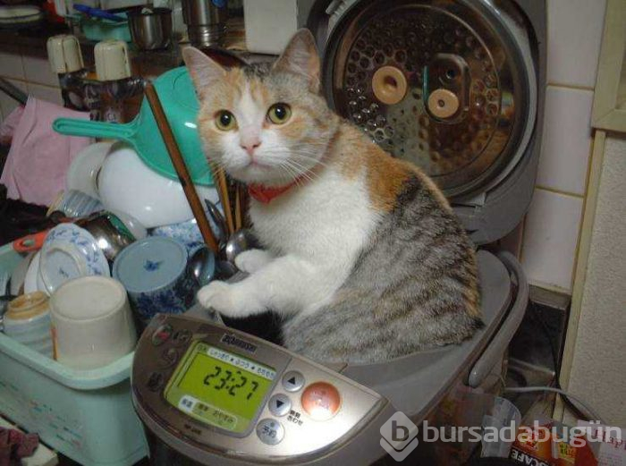Günün en çok paylaşılan fotoğrafları (20.08.2019)