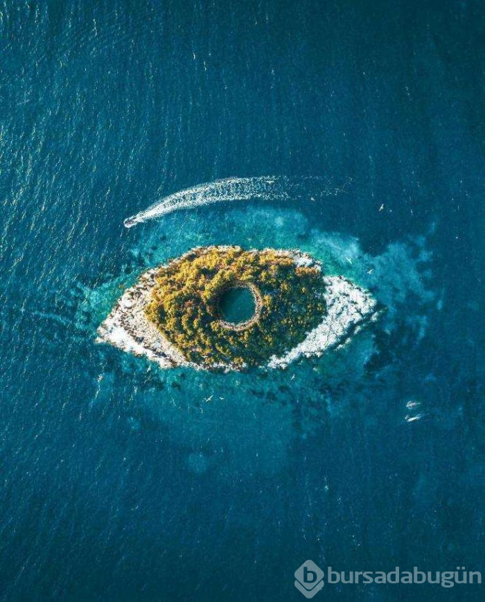 Günün en çok paylaşılan fotoğrafları (20.08.2019)