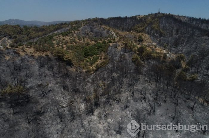 İzmir'deki orman yangınları 3. gününe girdi
