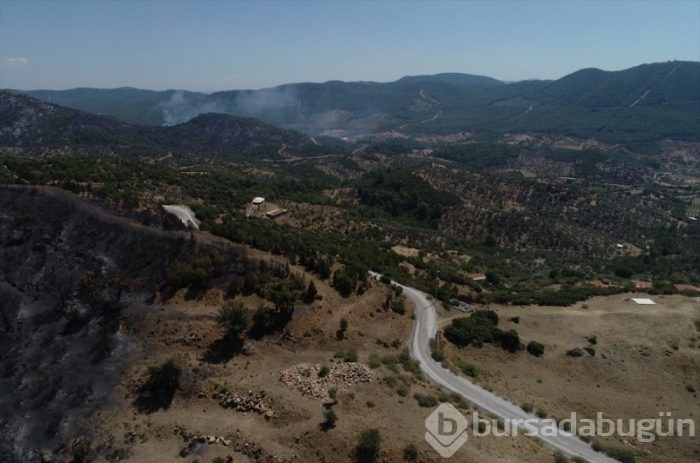 İzmir'deki orman yangınları 3. gününe girdi

