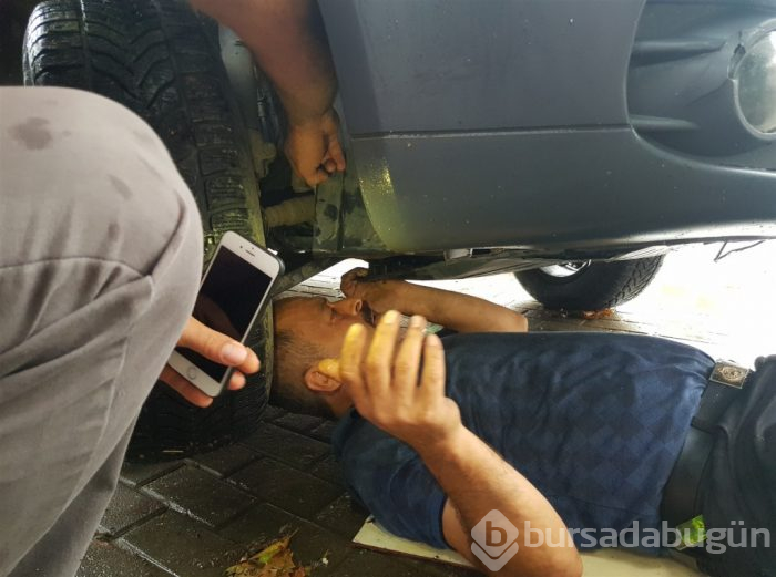 Bursa'nın kahraman itfaiyecisi! Yağmurda yarım saat uğraşıp kurtardı
